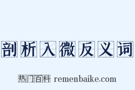 剖析入微反义词是什么意思的图片